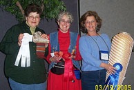 Advanced Wire:  Pat Welti, Pamela Zimmerman, Patti Hill
